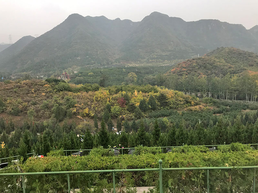 景仰园公墓内的风景