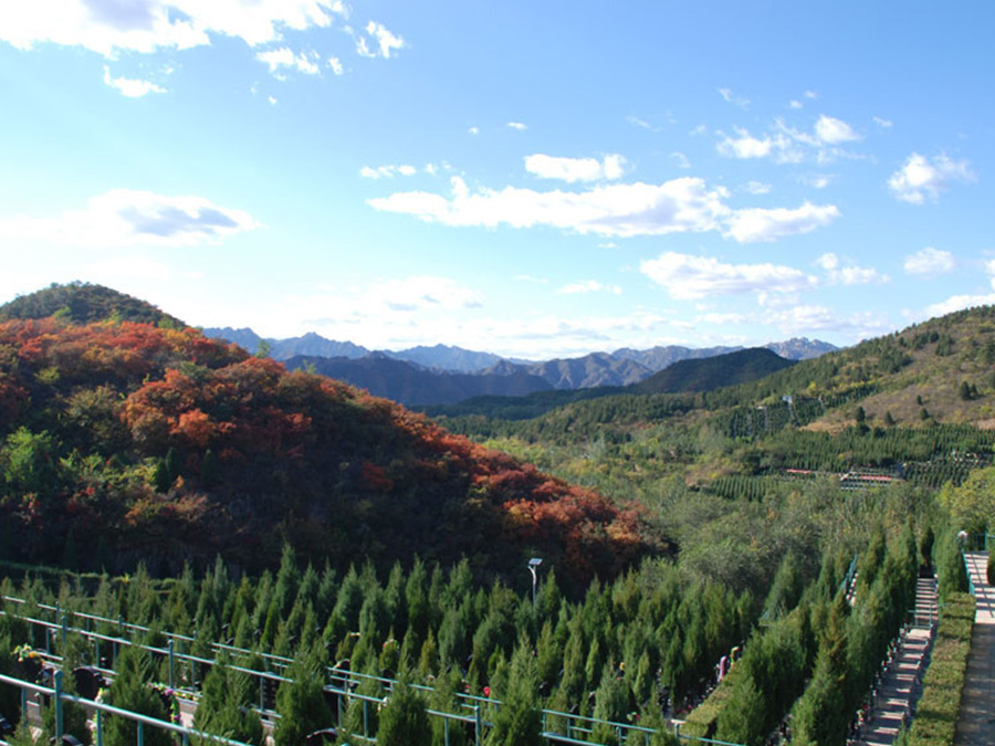 景仰园公墓墓区风景