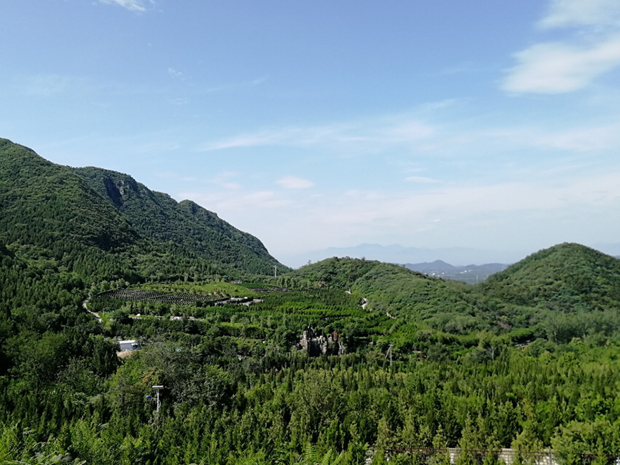 景仰园公墓特色墓区附近整洁环境