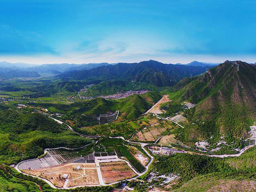 景仰园公墓园区现场环境整洁