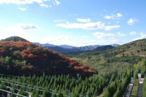 景仰园公墓双穴墓位价格及交通路线指南