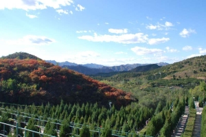 景仰园公墓交通环境与区位优势解析